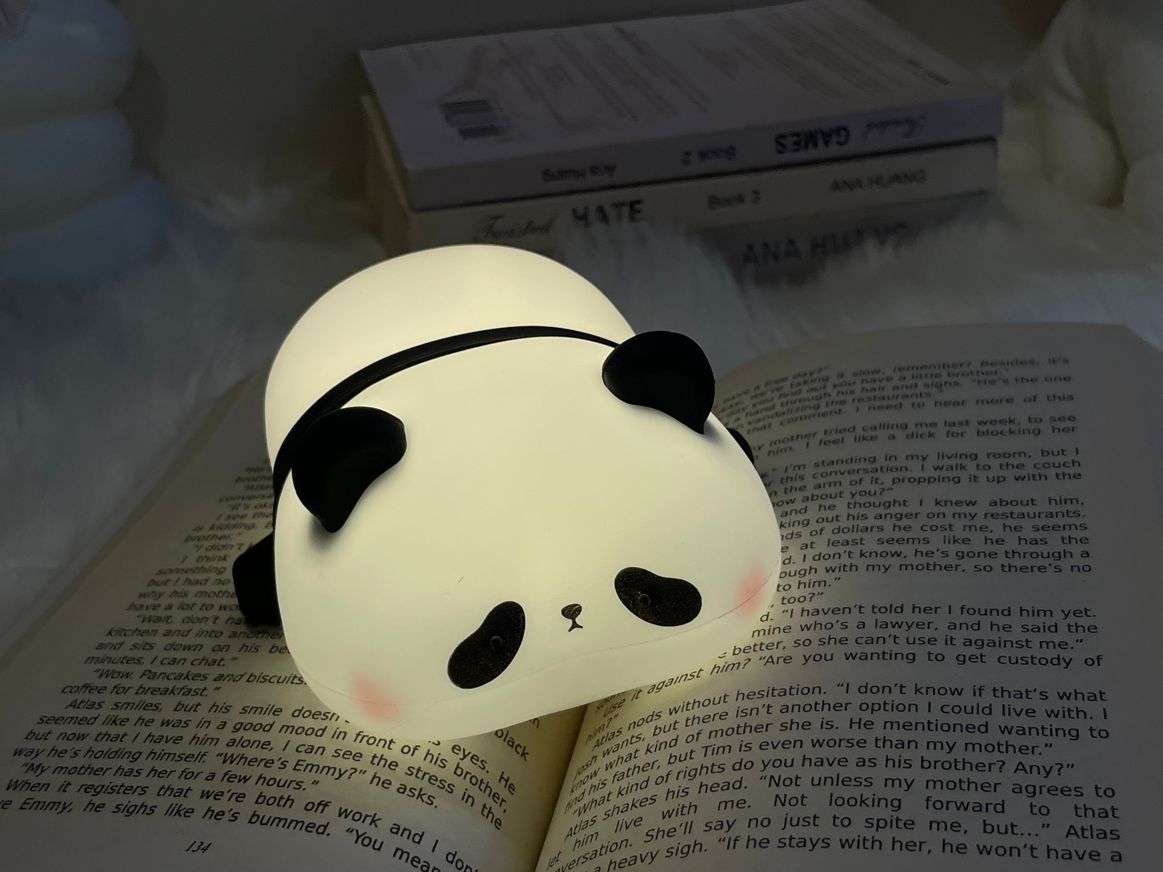 Cute Panda lamp