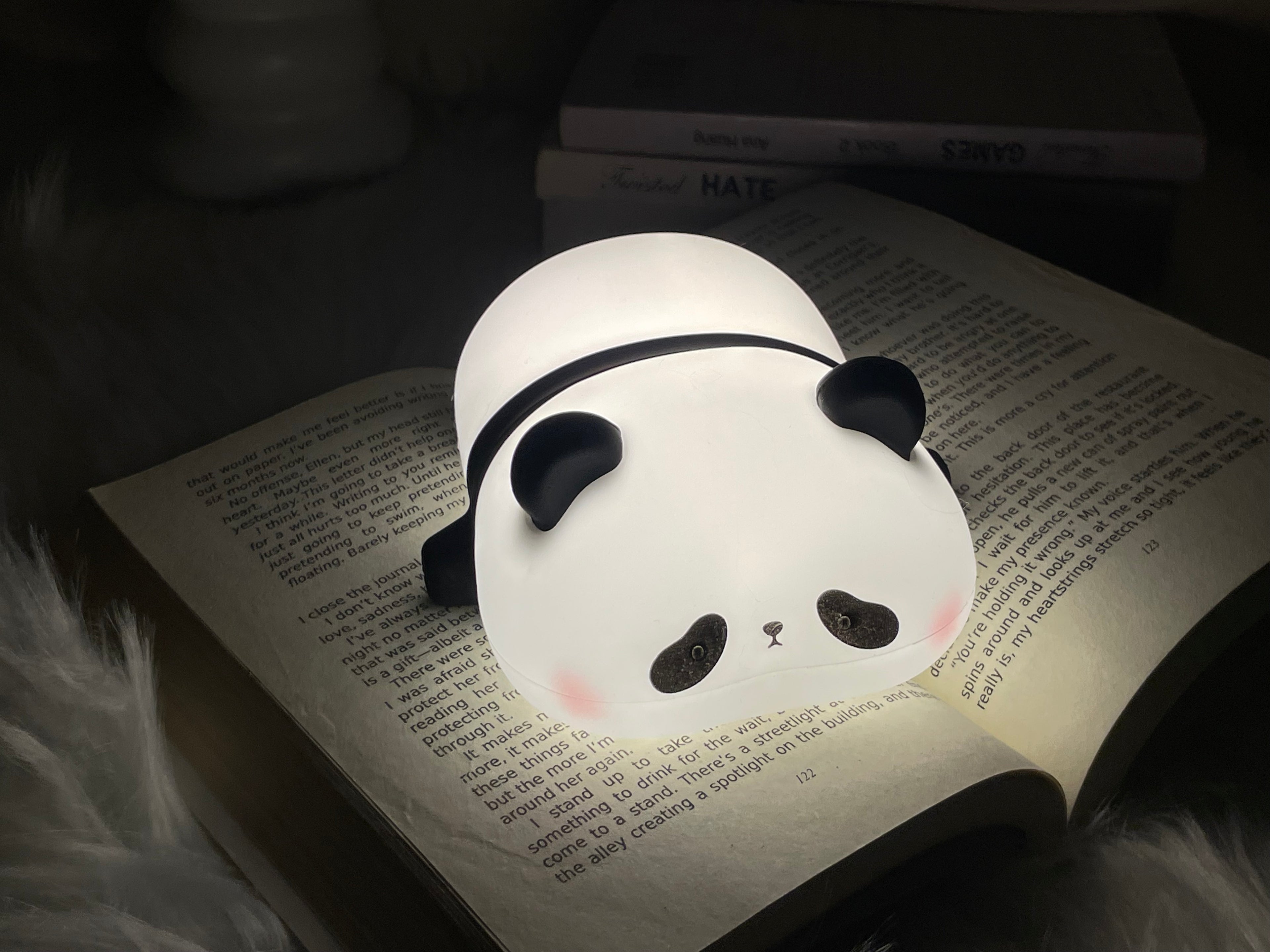 Cute Panda lamp